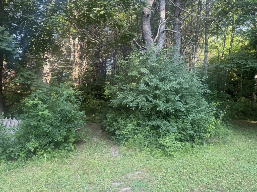 Hampden, ME